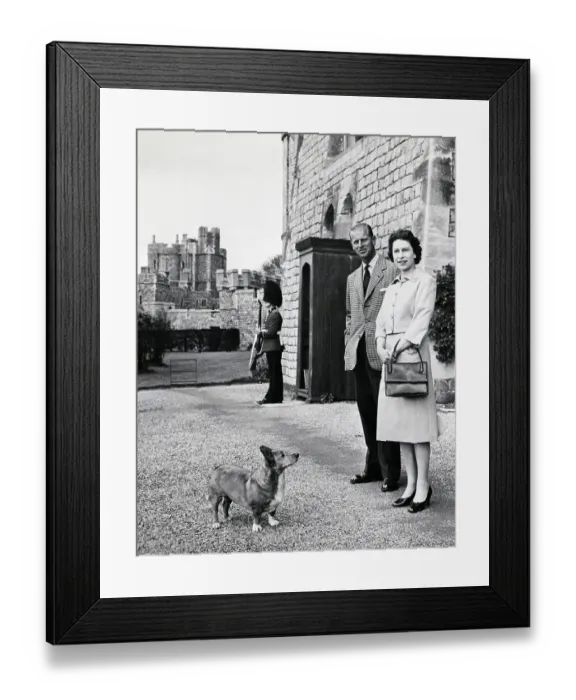 Framed Print : Dog Looks At Queen Elizabeth Ii & Prince