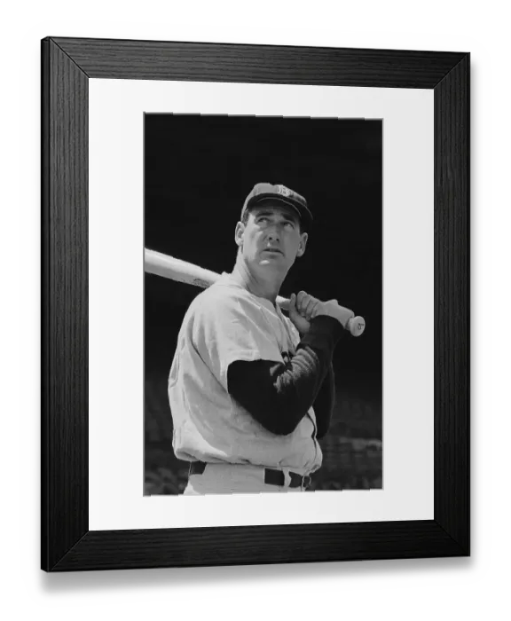 Framed Print : Ted Williams Holding Baseball Bat in Position Framed Print : Ted Williams Holding Baseball Bat in Position