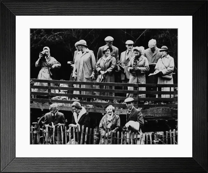 Framed Print : Royals At Badminton Horse Trials Framed Print : Royals At Badminton Horse Trials