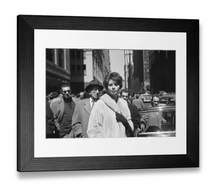 Framed Print : Sophia Loren Walking New York Streets Framed Print : Sophia Loren Walking New York Streets