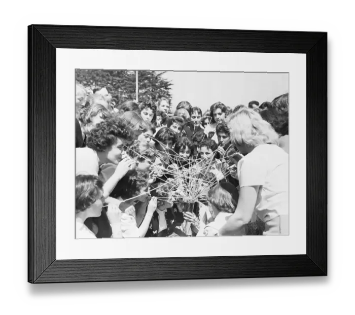 Framed Print : 61 Coeds, Extended Straws, One Milkshake Framed Print : 61 Coeds, Extended Straws, One Milkshake