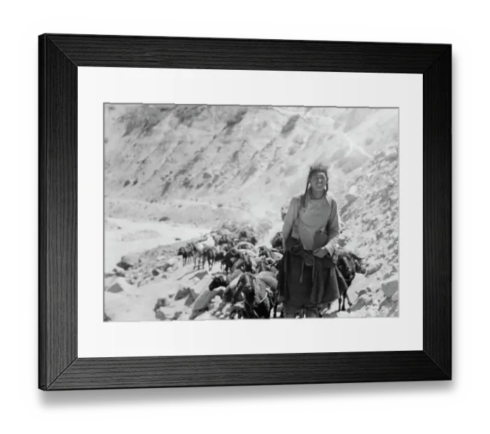 Framed Print : Tibetan Caravan Travelling Same Route as Dalai Lama Framed Print : Tibetan Caravan Travelling Same Route as Dalai Lama