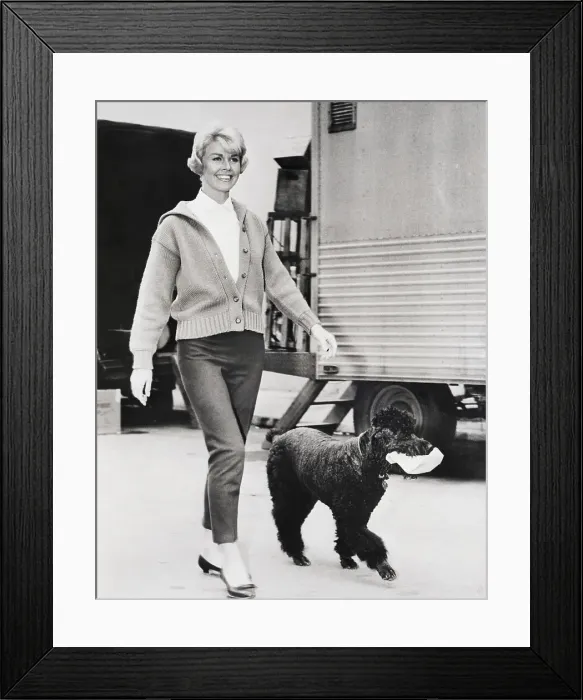 Framed Print : Doris Day Walking Dog Framed Print : Doris Day Walking Dog