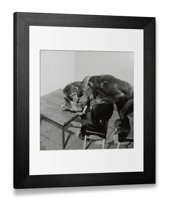 Framed Print : Monkeys Looking at Photo of Brigitte Bardot Framed Print : Monkeys Looking at Photo of Brigitte Bardot