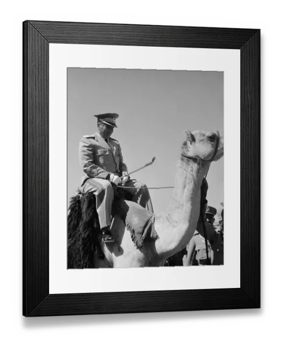 Framed Print : Marshal Tito Riding a Camel Framed Print : Marshal Tito Riding a Camel