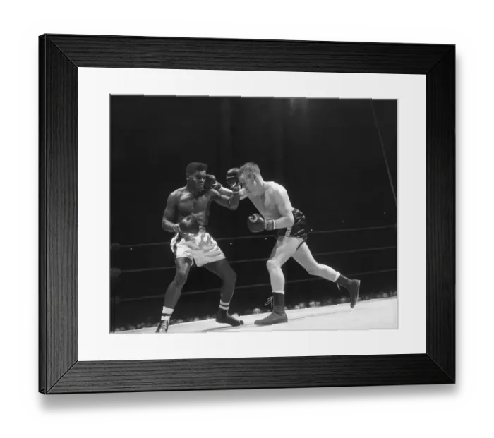 Framed Print : Bahama Triumphs At Garden Framed Print : Bahama Triumphs At Garden