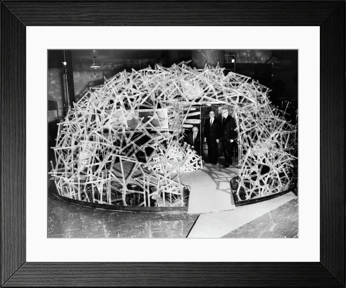 Framed Print : Giant Blood Cell Model Exhibit Framed Print : Giant Blood Cell Model Exhibit