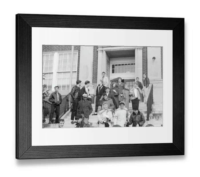 Framed Print : Integrated Student Group on School Steps Framed Print : Integrated Student Group on School Steps