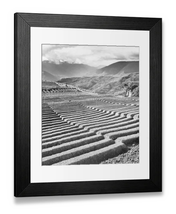 Framed Print : Bolivian Traced Fields Framed Print : Bolivian Traced Fields