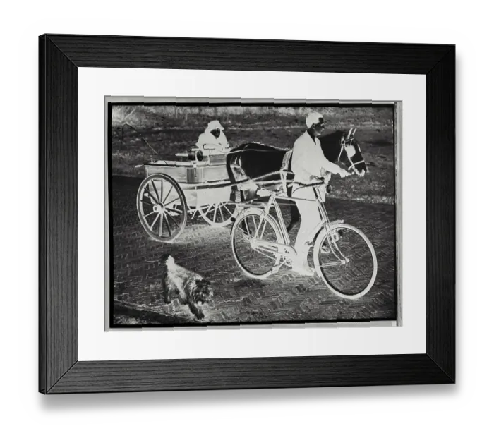 Framed Print : Princess Wilhelmina Riding in Pony Drawn Cart