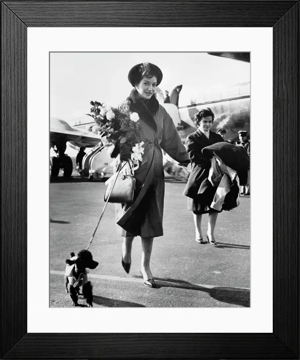 Framed Print : Maria Callas and Dog Arriving at Airport Framed Print : Maria Callas and Dog Arriving at Airport