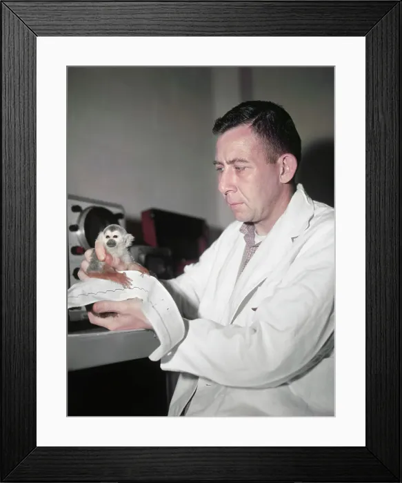Framed Print : Scientist Holding Squirrel Monkey Framed Print : Scientist Holding Squirrel Monkey