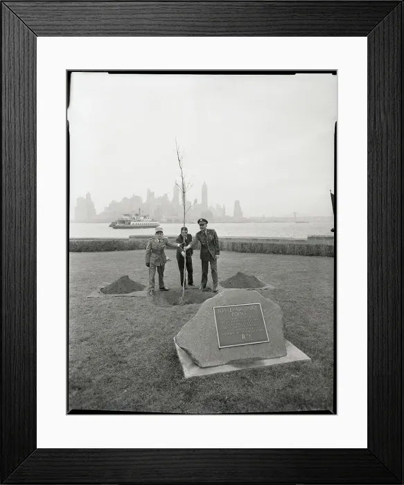 Framed Print : Tree Being Planted In Honor Of Veterans Framed Print : Tree Being Planted In Honor Of Veterans