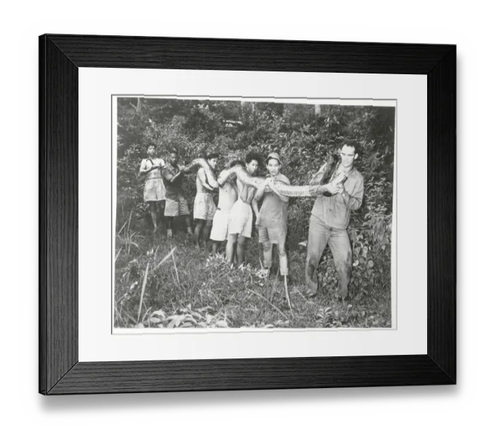 Framed Print : Wyman Carroll and Helpers Holding Long Snake Framed Print : Wyman Carroll and Helpers Holding Long Snake