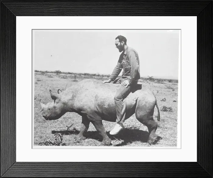 Framed Print : Wyman Carroll Riding on a Rhino Framed Print : Wyman Carroll Riding on a Rhino