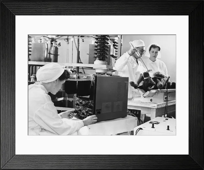 Framed Print : Scientists with Dog on Examination Table Framed Print : Scientists with Dog on Examination Table
