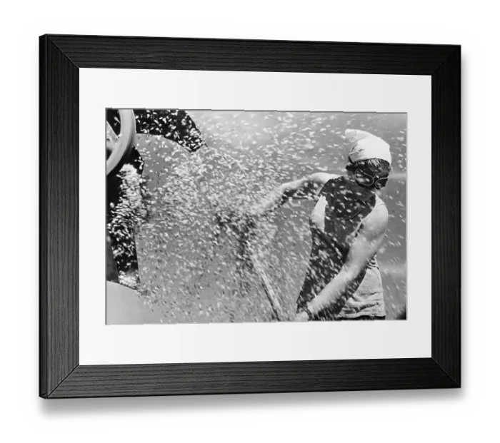 Framed Print : Russian Woman Threshing Wheat Framed Print : Russian Woman Threshing Wheat