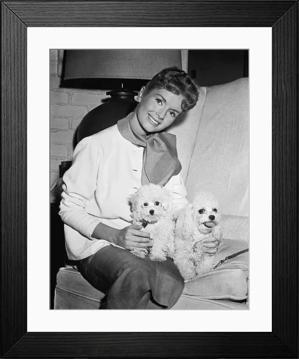 Framed Print : Portrait of Debbie Reynolds with Poodles Framed Print : Portrait of Debbie Reynolds with Poodles