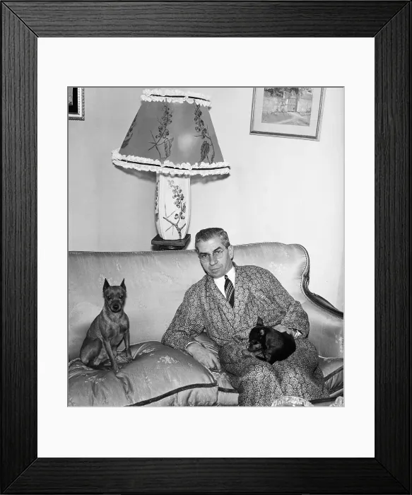 Framed Print : Charles Luciano on Couch with Pets Framed Print : Charles Luciano on Couch with Pets