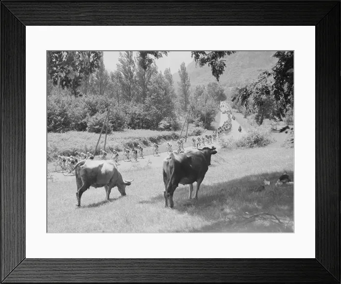 Framed Print : Tour de France, 1958 Framed Print : Tour de France, 1958
