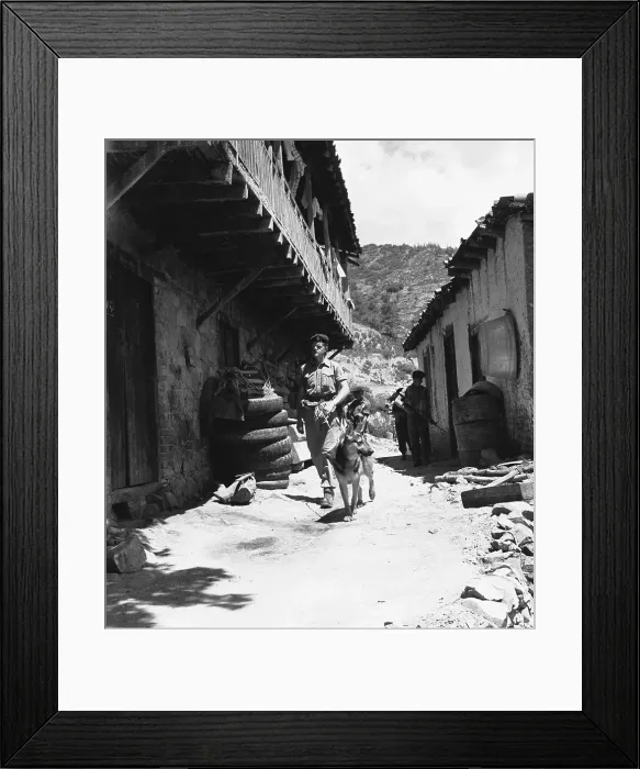 Framed Print : British Security Agents Dog Searching Street Framed Print : British Security Agents Dog Searching Street