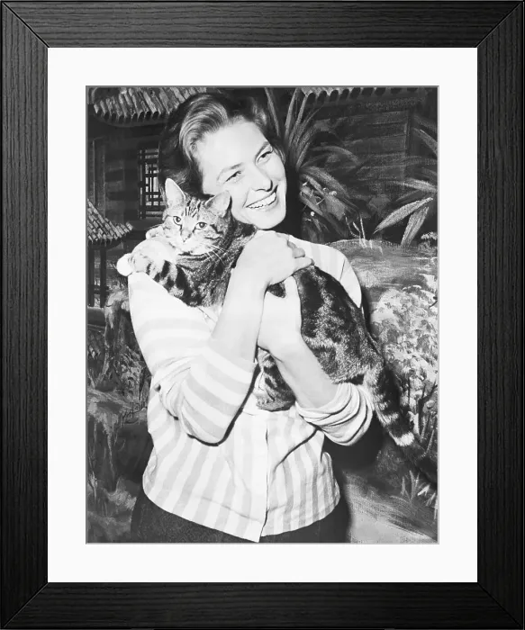 Framed Print : Ingrid Bergman Hugging Cat While on Filming Set Framed Print : Ingrid Bergman Hugging Cat While on Filming Set