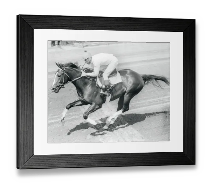 Framed Print : Jockey Eddie Arcaro Riding Race Horse Jewels Reward Framed Print : Jockey Eddie Arcaro Riding Race Horse Jewels Reward