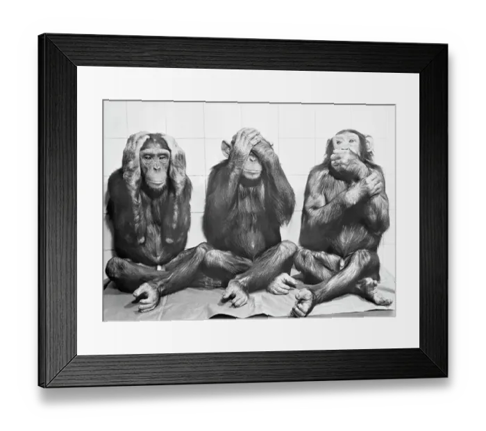 Framed Print : Hear No Evil, See No Evil, Speak No Evil Framed Print : Hear No Evil, See No Evil, Speak No Evil