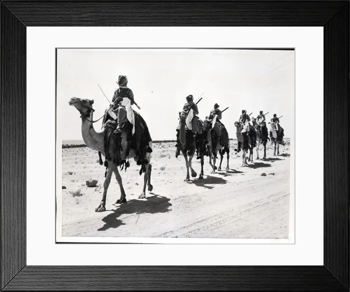Framed Print : Line of Men Riding Camels in Desert Framed Print : Line of Men Riding Camels in Desert