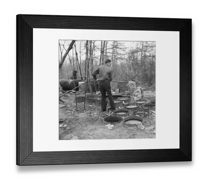 Framed Print : Agent Lifts Mash From Barrel W / Shovel Framed Print : Agent Lifts Mash From Barrel W / Shovel