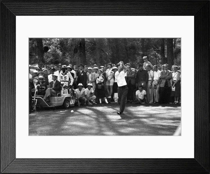 Framed Print : In the Swing Framed Print : In the Swing