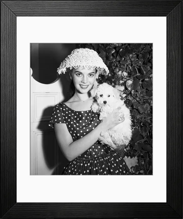 Framed Print : Natalie Wood Posing with Her Poodle Framed Print : Natalie Wood Posing with Her Poodle