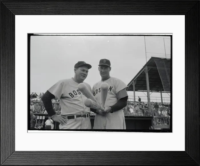 Framed Print : Bats on His Mind Framed Print : Bats on His Mind