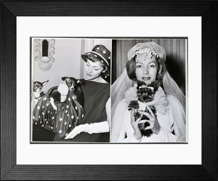 Framed Print : Canines Of High Society With Owners Framed Print : Canines Of High Society With Owners