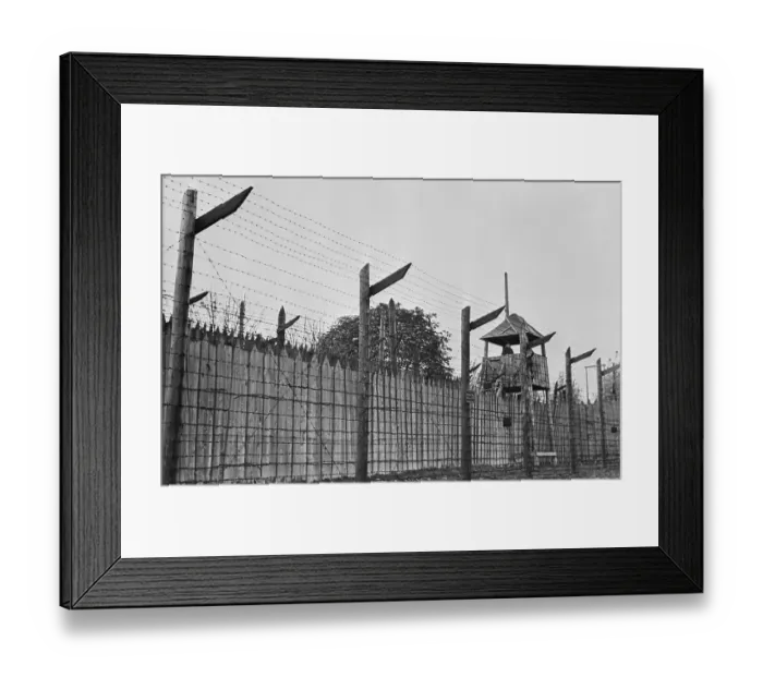 Framed Print : Soviet Barbed Wire Prison Camp Framed Print : Soviet Barbed Wire Prison Camp