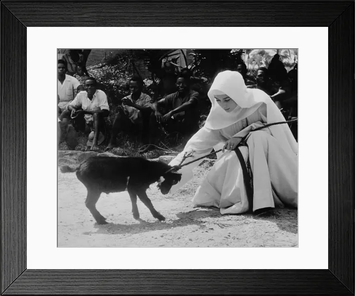 Framed Print : Audrey Hepburn Pulling on a Goat's Leash Framed Print : Audrey Hepburn Pulling on a Goat's Leash