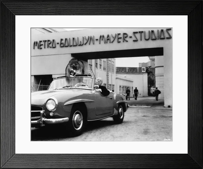 Framed Print : Alfred Hitchcock with Lion Passenger at MGM Framed Print : Alfred Hitchcock with Lion Passenger at MGM
