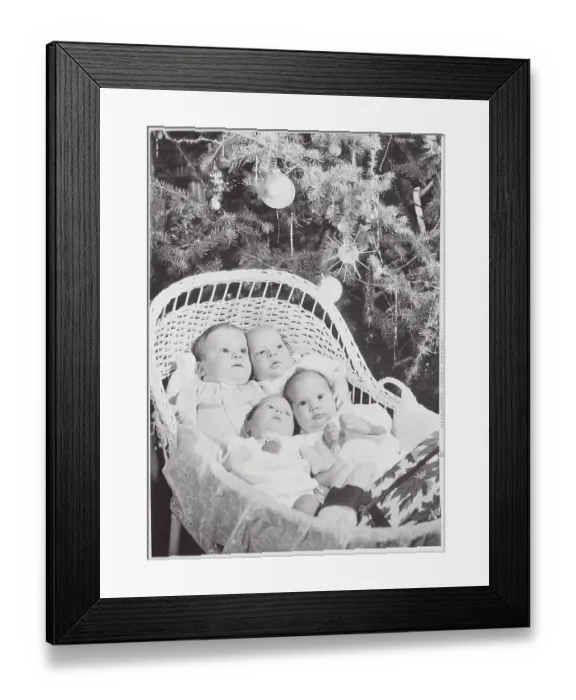 Framed Print : Adoptive Babies Poised in Basket Underneath Christmas Tree Framed Print : Adoptive Babies Poised in Basket Underneath Christmas Tree