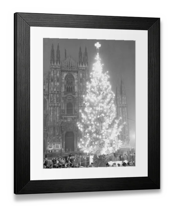 Framed Print : Decorated Christmas Tree in Italy Framed Print : Decorated Christmas Tree in Italy