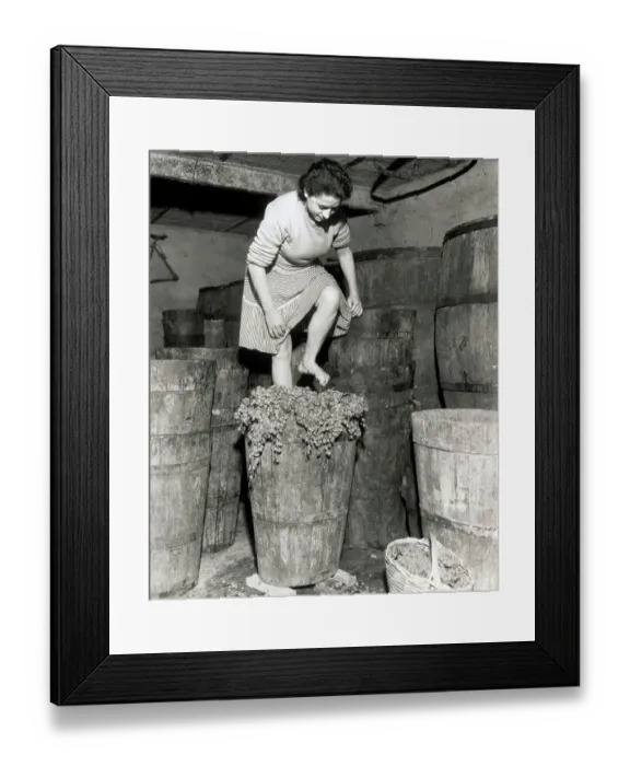 Framed Print : Woman Stomping Grapes Framed Print : Woman Stomping Grapes