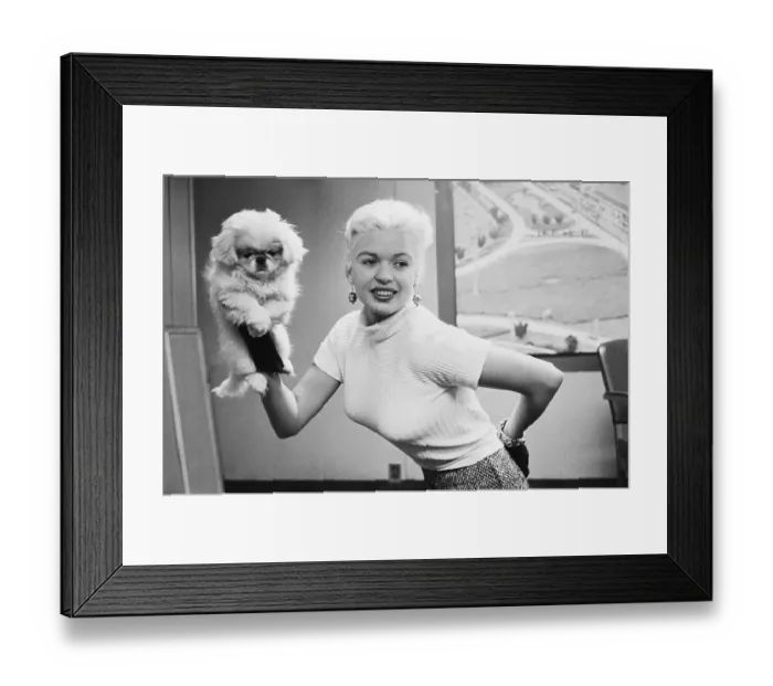 Framed Print : Jayne Mansfield with Hand Held Puppet Framed Print : Jayne Mansfield with Hand Held Puppet