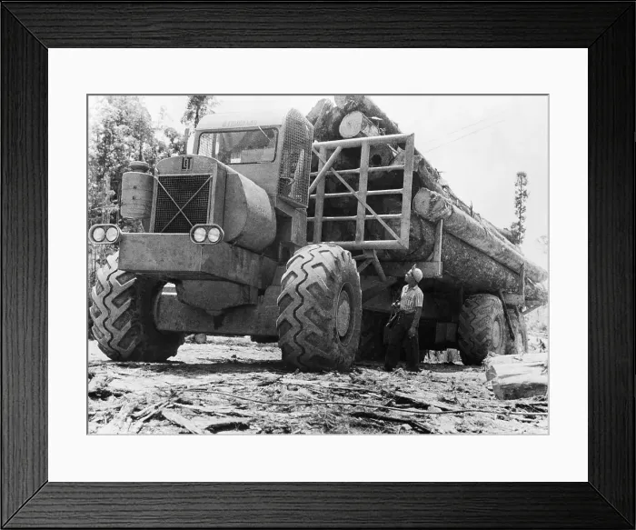 Framed Print : Big Logs On Big, Big Truck Framed Print : Big Logs On Big, Big Truck