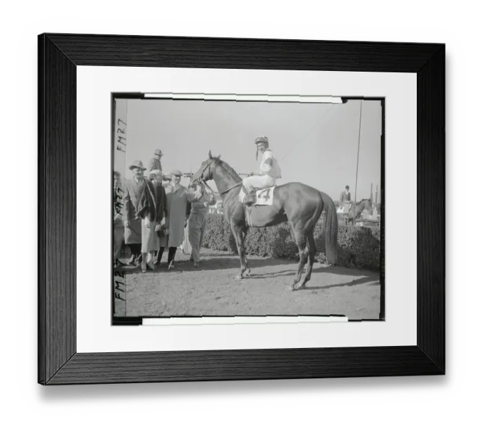 Framed Print : Willie Shoemaker on Gallant Man in Winner's Circle Framed Print : Willie Shoemaker on Gallant Man in Winner's Circle