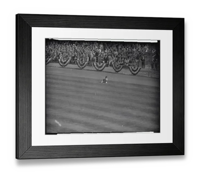 Framed Print : Aaron Making the Catch Framed Print : Aaron Making the Catch