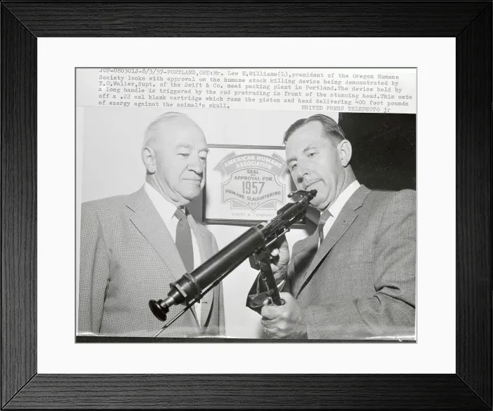 Framed Print : President of Humane Society Inspecting Stock Killing Device Framed Print : President of Humane Society Inspecting Stock Killing Device