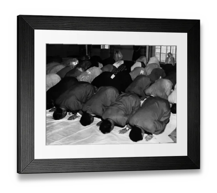 Framed Print : Muslims Kneeling and Bent in Prayer Framed Print : Muslims Kneeling and Bent in Prayer