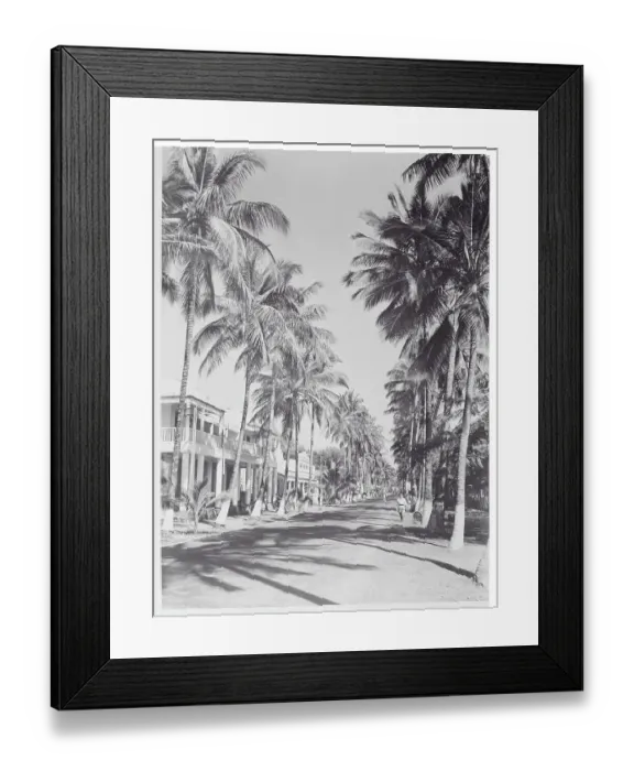 Framed Print : General View of the Avenue Jacques Tombeur