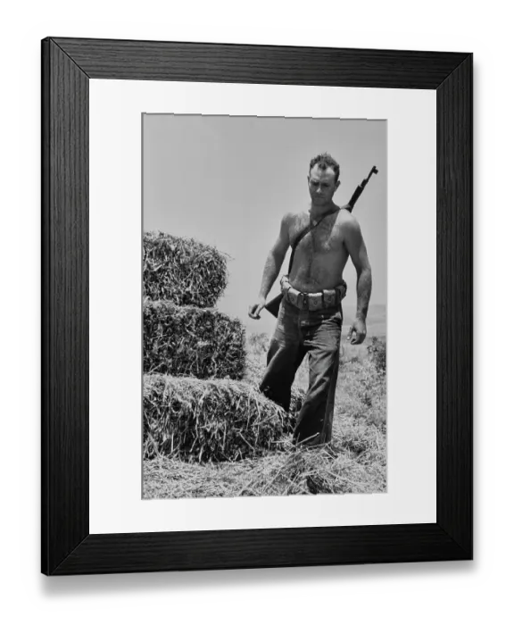 Framed Print : Armed Farmer Making Hay