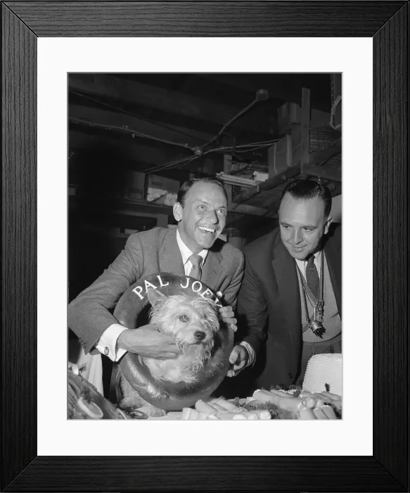 Framed Print : Bagel-Loving Pooch Hitches Wagon to a Star Framed Print : Bagel-Loving Pooch Hitches Wagon to a Star