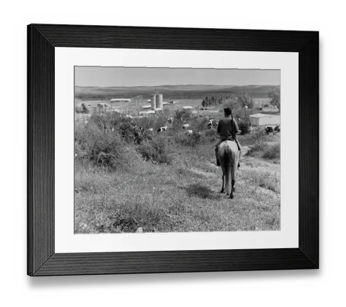 Framed Print : Gaza Border Patrol, 1957 Framed Print : Gaza Border Patrol, 1957